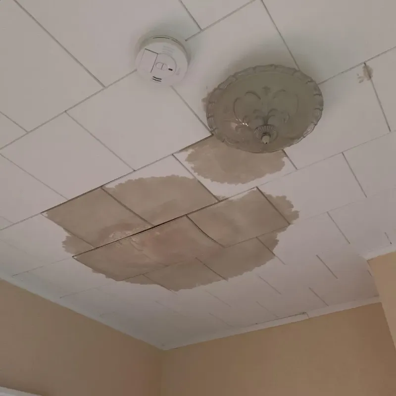 Ceiling Water Damage Repair in Farmington, CT