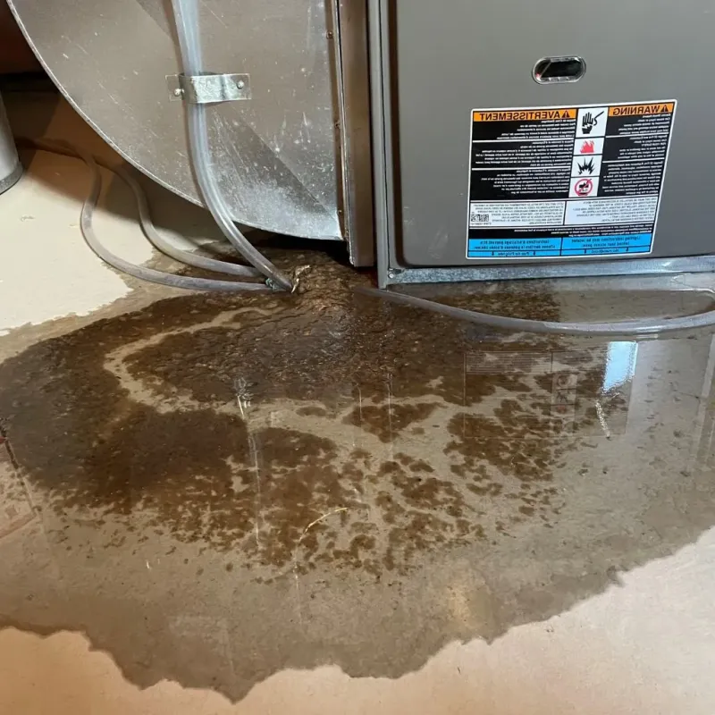 Pipe Burst and Leak Restoration in Farmington, CT